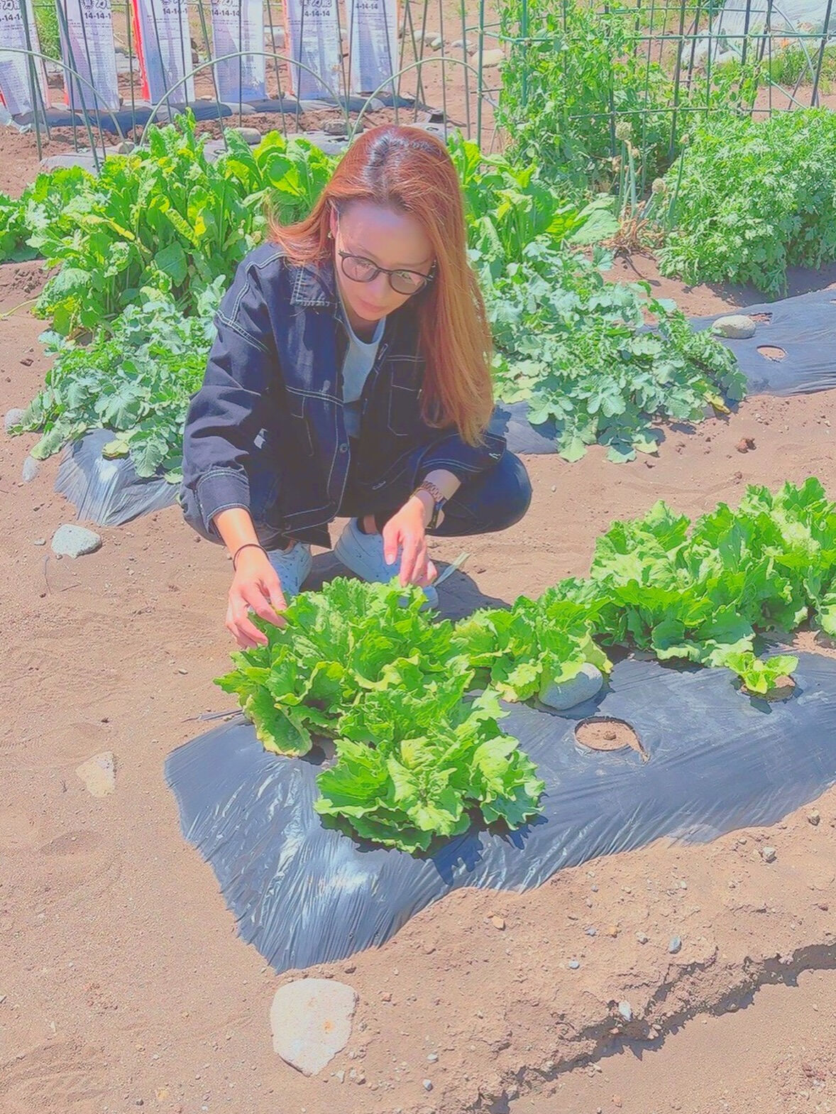 隙間時間に畑を始動する事にしました👩🏼‍🌾
