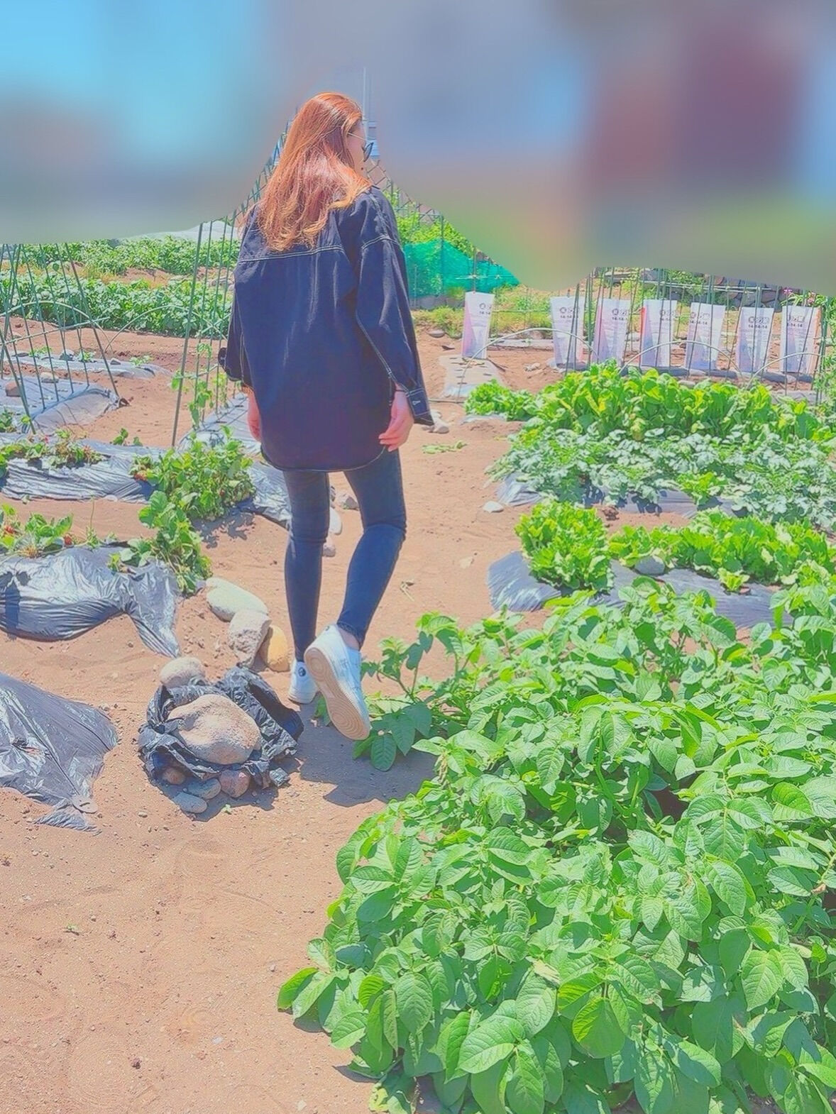 隙間時間に畑を始動する事にしました👩🏼‍🌾
